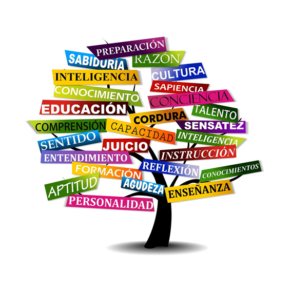 Tutoría 5º año B  2023